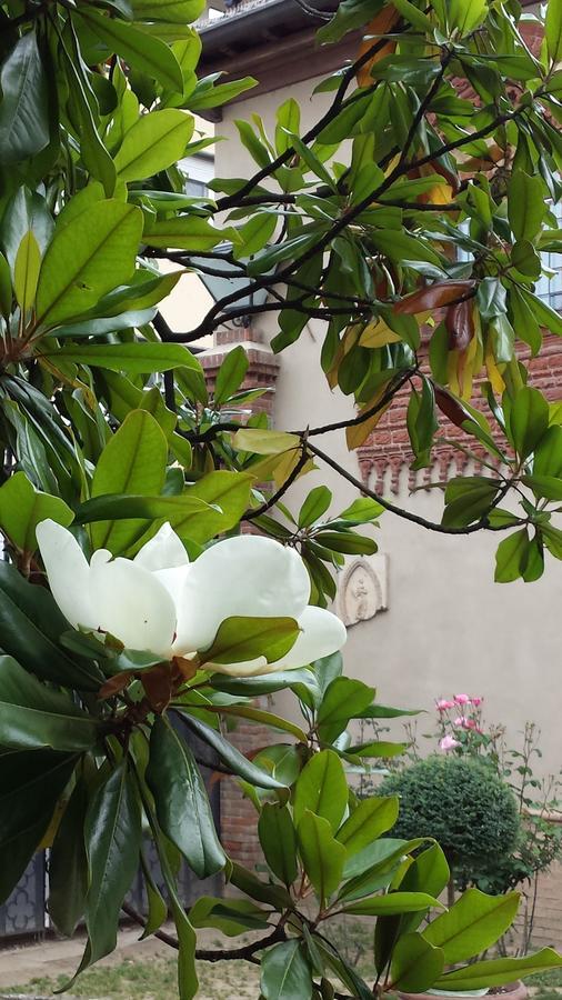 B&B San Martino Mede Ngoại thất bức ảnh